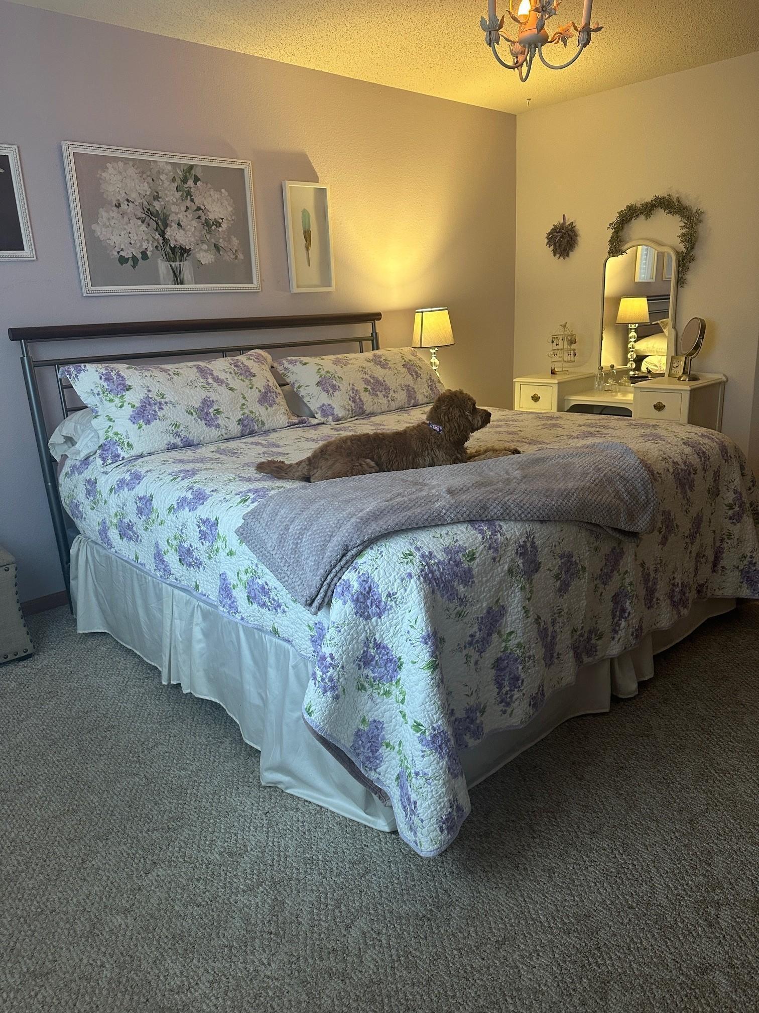 4039 Mallard Place Southeast Rochester, MN 55904 - Photo 25 of 34