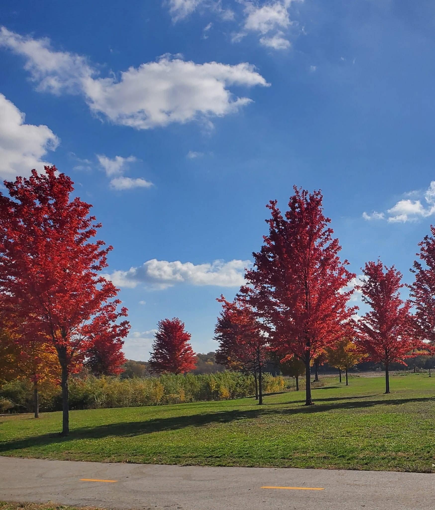 4039 Mallard Place Southeast Rochester, MN 55904 - Photo 31 of 34