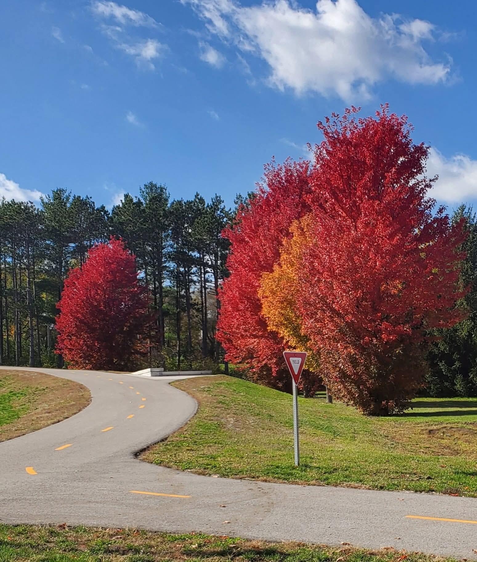 4039 Mallard Place Southeast Rochester, MN 55904 - Photo 33 of 34