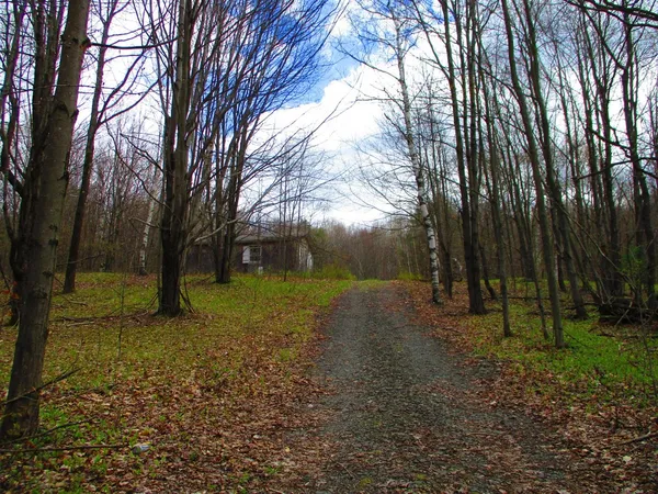 $59,000 | 990 Smokey Avenue, Schenevus, NY 12155