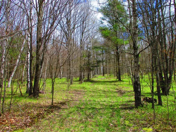 $59,000 | 990 Smokey Avenue, Westford, NY 12155