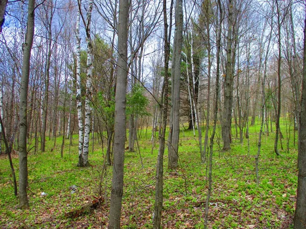 $59,000 | 990 Smokey Avenue, Westford, NY 12155