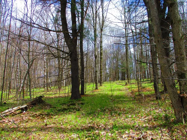 $59,000 | 990 Smokey Avenue, Westford, NY 12155