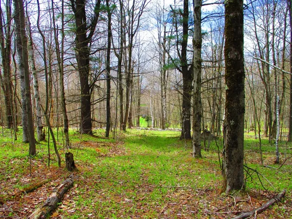 $59,000 | 990 Smokey Avenue, Westford, NY 12155