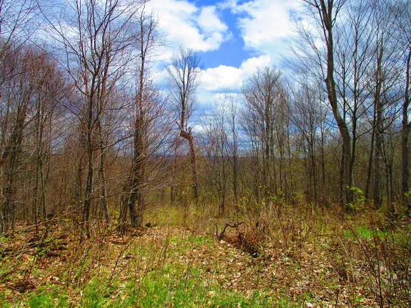$59,000 | 990 Smokey Avenue, Westford, NY 12155