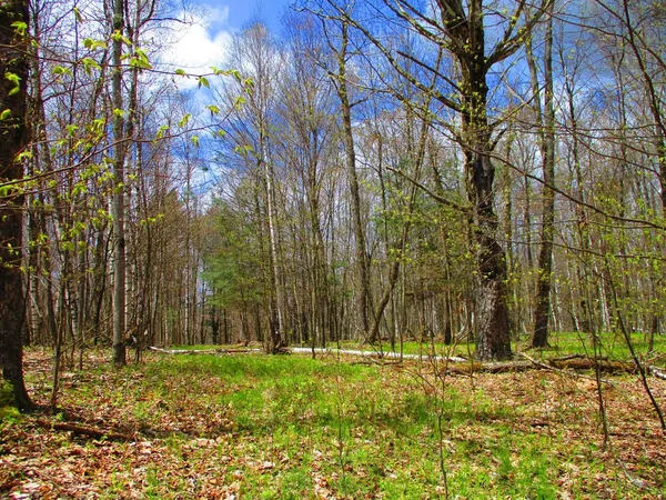 $59,000 | 990 Smokey Avenue, Westford, NY 12155