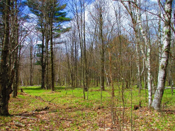 $59,000 | 990 Smokey Avenue, Westford, NY 12155