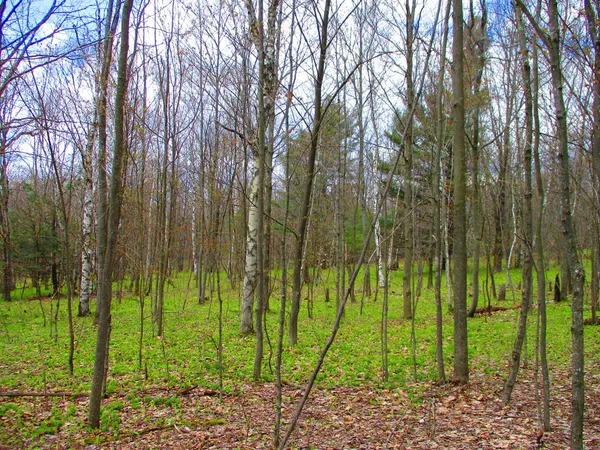 $59,000 | 990 Smokey Avenue, Westford, NY 12155