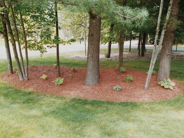1520 East King Road Tomahawk, WI 54487 - Photo 19 of 20 Gallery Image 19