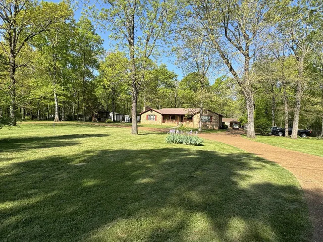a view of a park with large trees