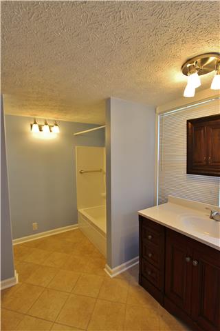 406 Cambridge Road Lebanon, TN 37087 - Photo 6 of 20 Master bathroom with shower/tub combo. Bathroom has been completely renovated.
