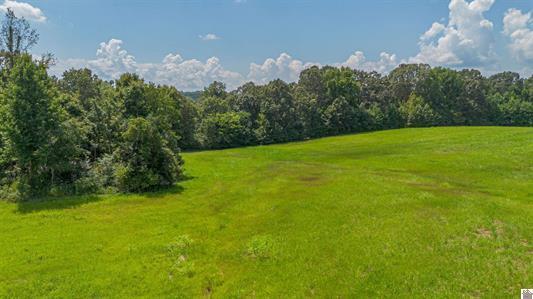 0 Dunlap Road Smithland, KY 42081 - Photo 11 of 23 image004