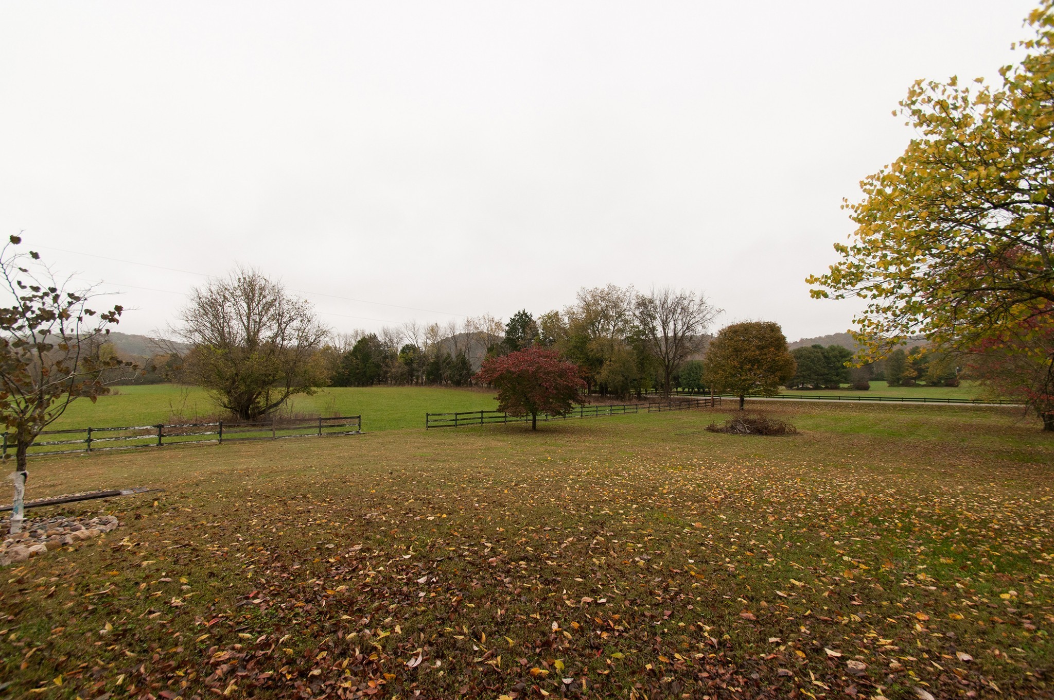 0 Cedar Hill Road Kingston Springs, TN 37082 - Photo 16 of 17 a view of an outdoor space and a yard