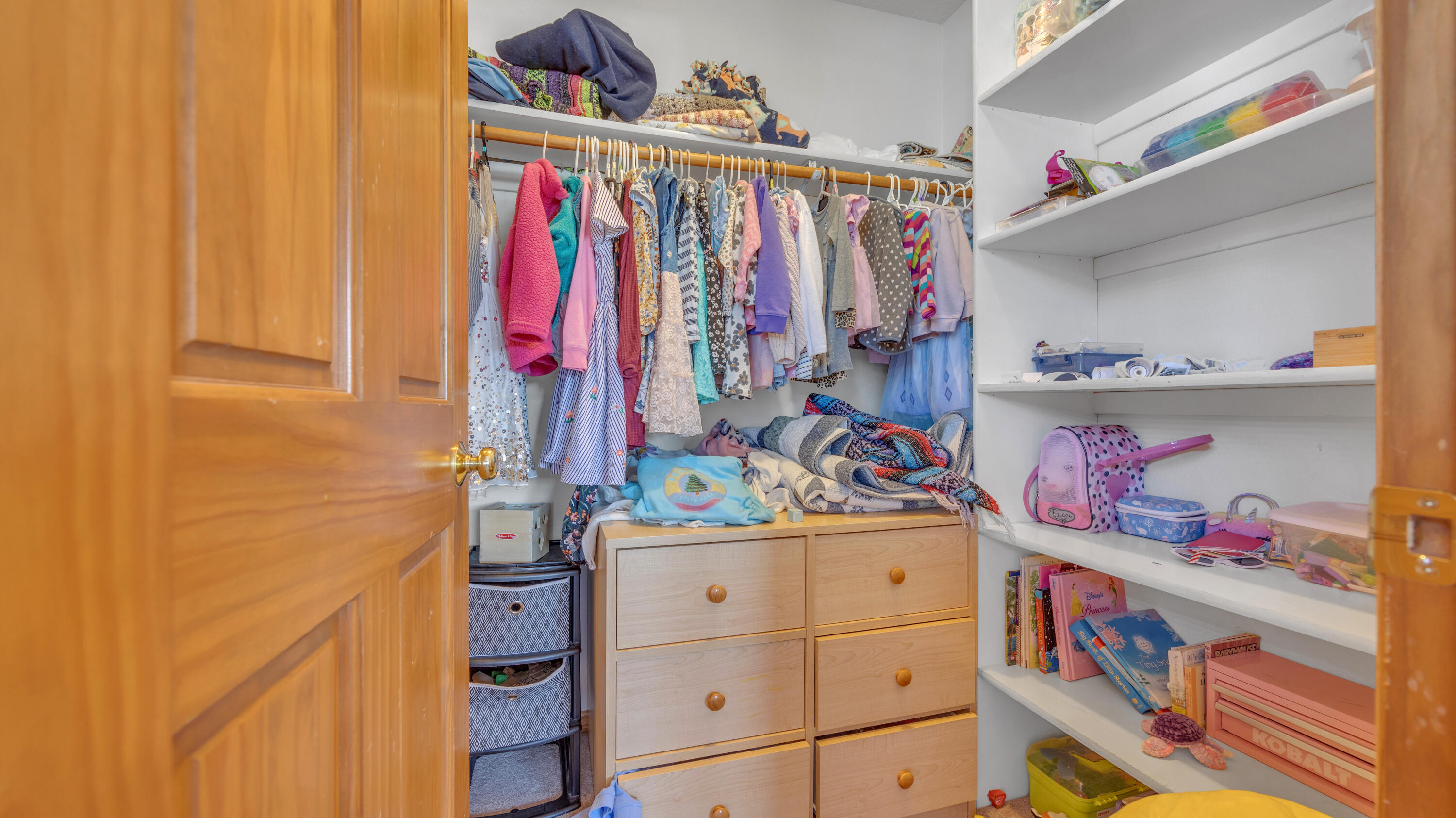5735 Wind Dancer Court Sheboygan, WI 53081 - Photo 16 of 38 Bedroom Closet