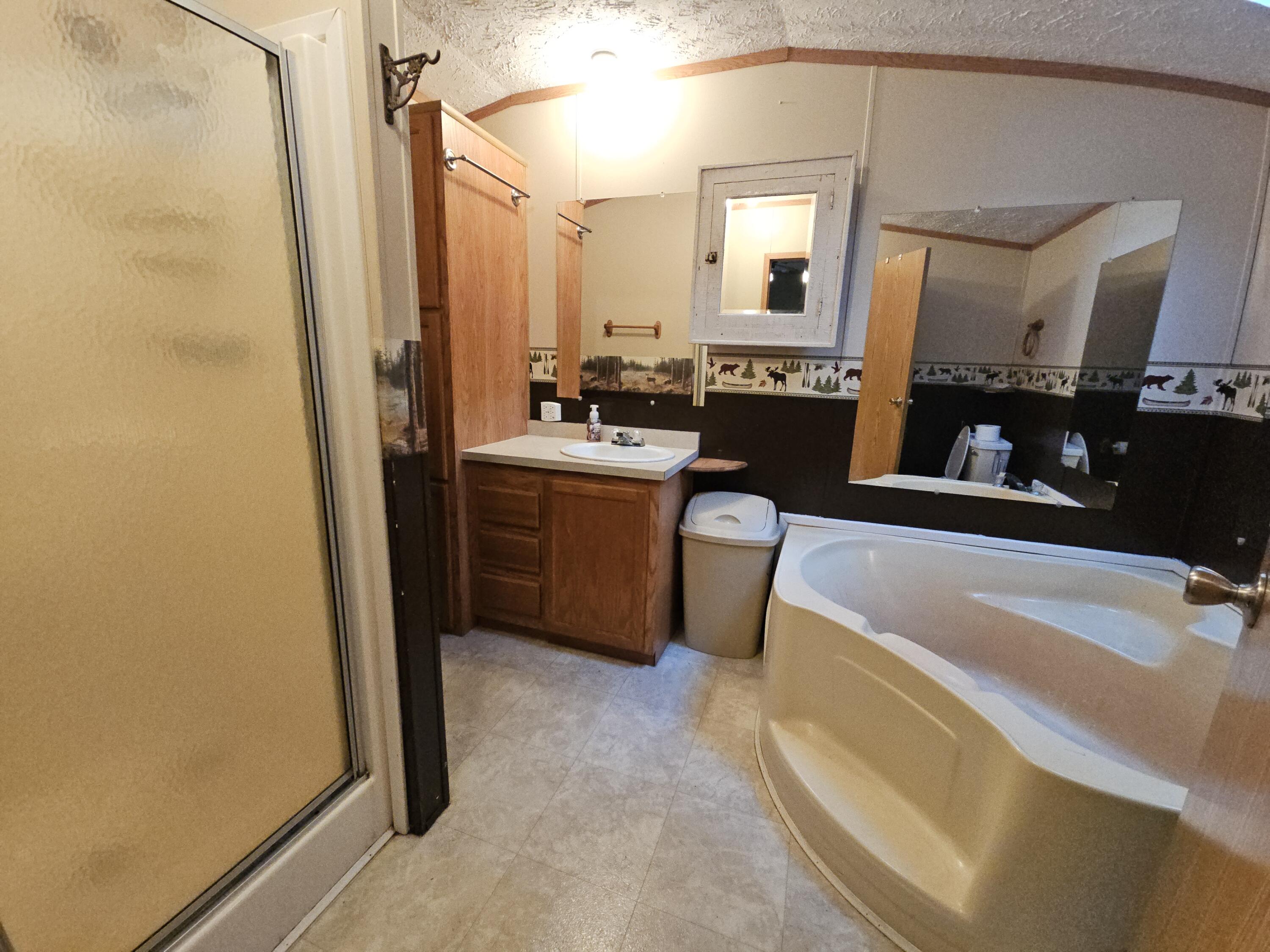 2026 Highway 71 Little Falls, WI 54656 - Photo 19 of 43 Primary bath