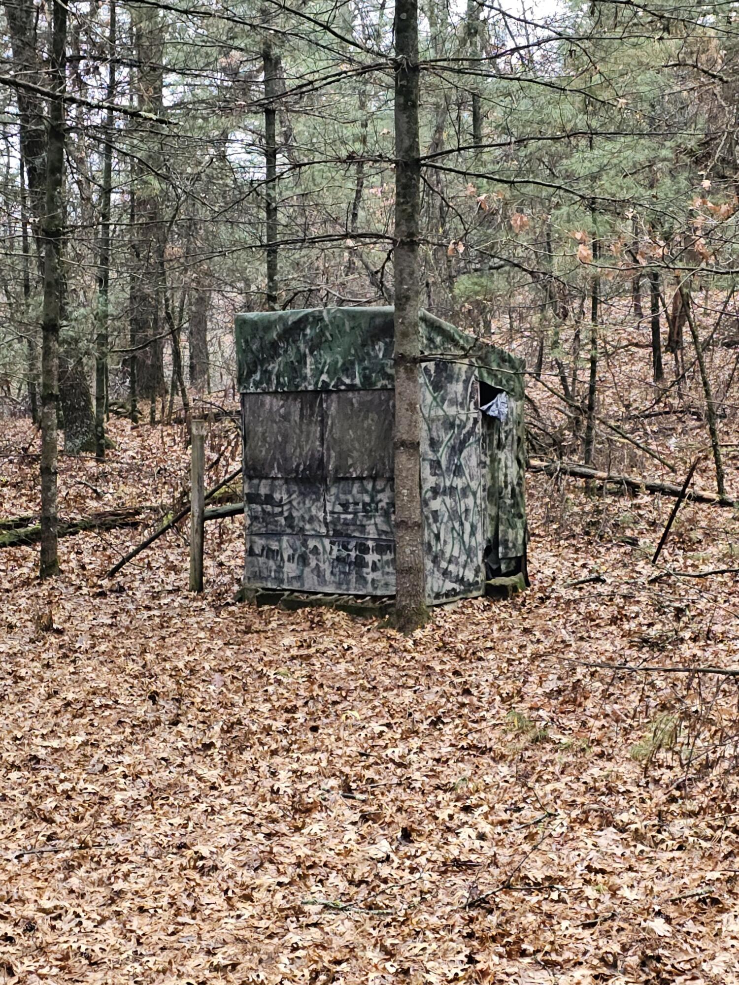 2026 Highway 71 Little Falls, WI 54656 - Photo 41 of 43 Deer blind