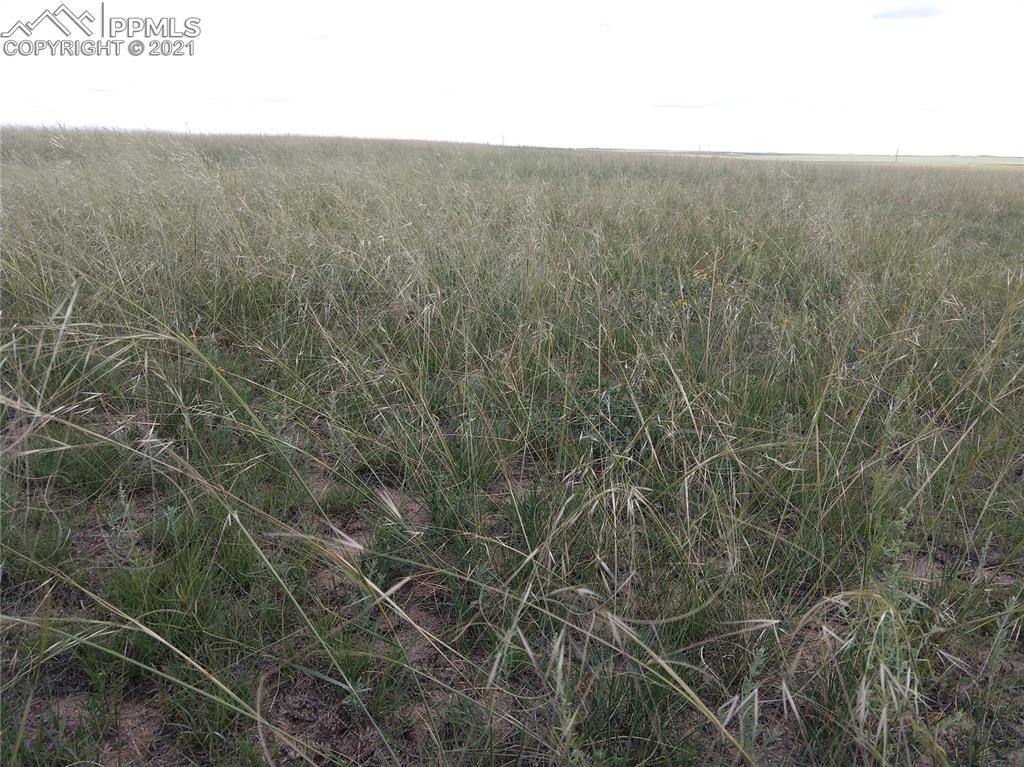 Parcel 2 Sengbeil Road Yoder, CO 80864 - Photo 12 of 15