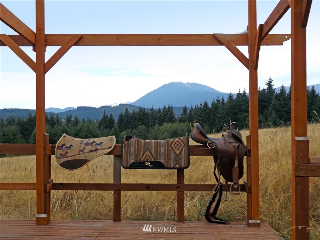 3893 Mt Pleasant Road Port Angeles, WA 98362 - Photo 2 of 25