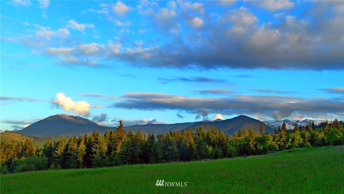 3893 Mt Pleasant Road Port Angeles, WA 98362 - Photo 12 of 25