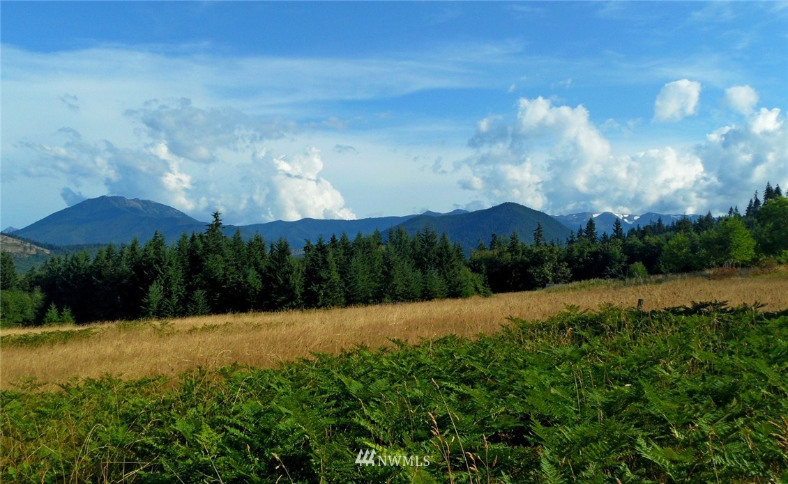 3893 Mt Pleasant Road Port Angeles, WA 98362 - Photo 16 of 25