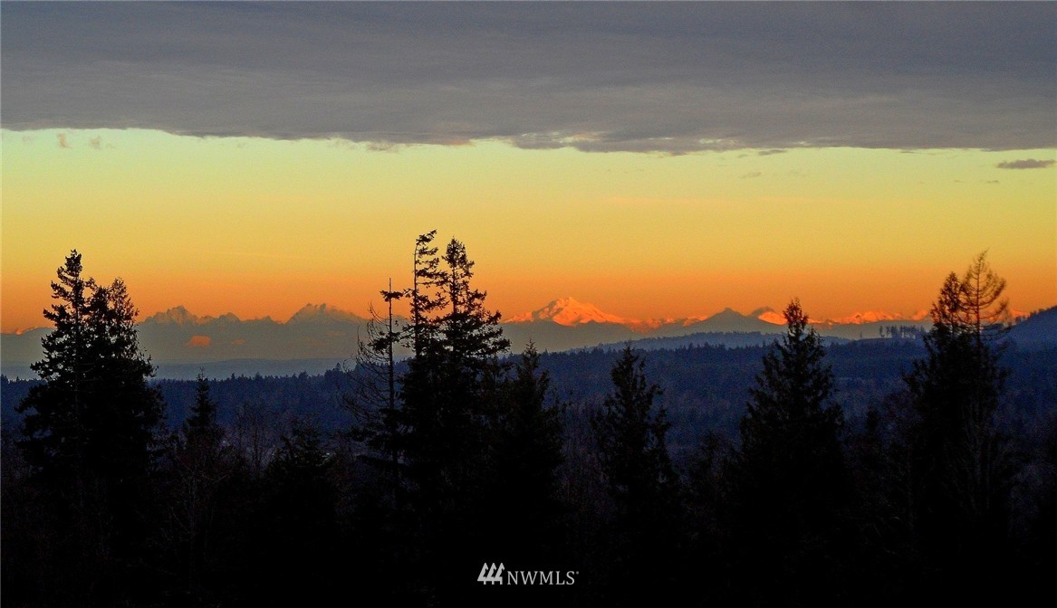 3893 Mt Pleasant Road Port Angeles, WA 98362 - Photo 18 of 25