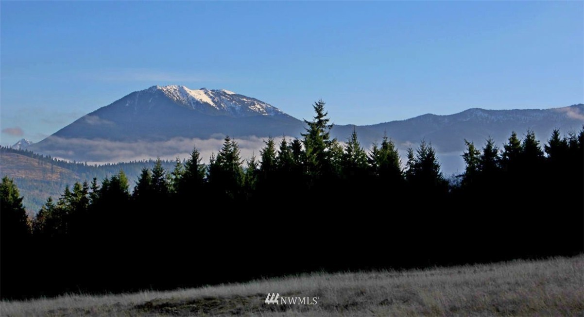 3893 Mt Pleasant Road Port Angeles, WA 98362 - Photo 3 of 25