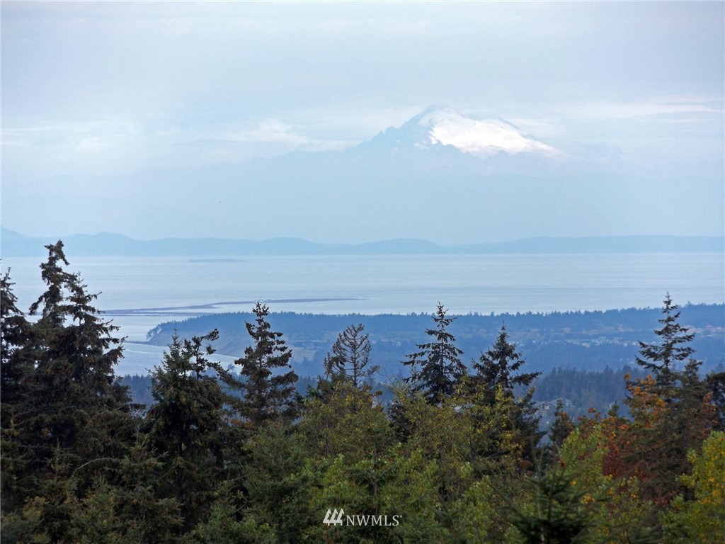 3893 Mt Pleasant Road Port Angeles, WA 98362 - Photo 4 of 25