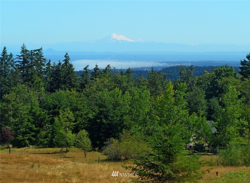 3893 Mt Pleasant Road Port Angeles, WA 98362 - Photo 5 of 25