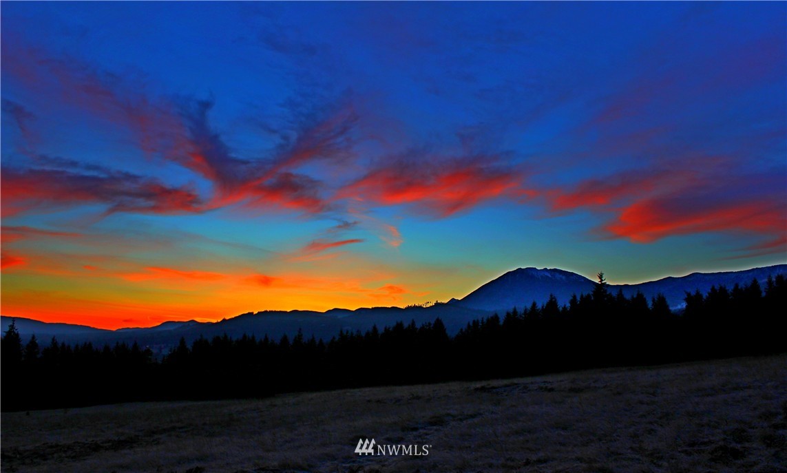 3893 Mt Pleasant Road Port Angeles, WA 98362 - Photo 6 of 25