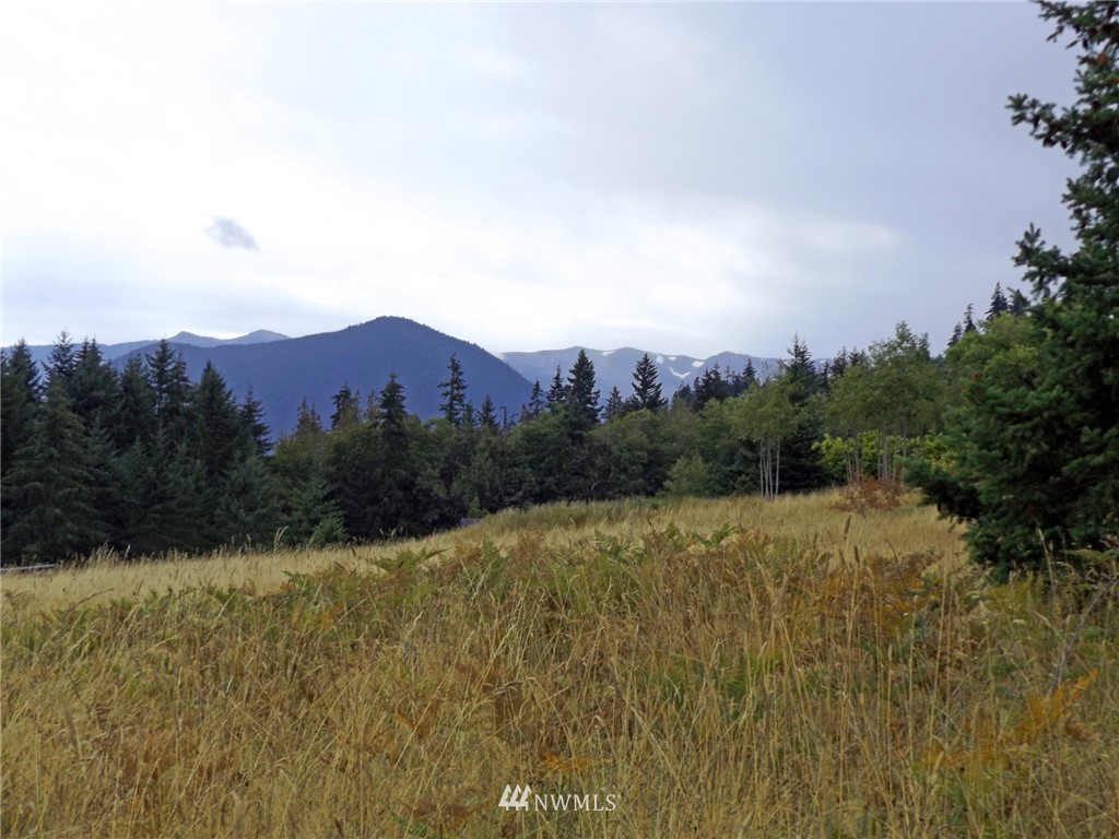 3893 Mt Pleasant Road Port Angeles, WA 98362 - Photo 8 of 25