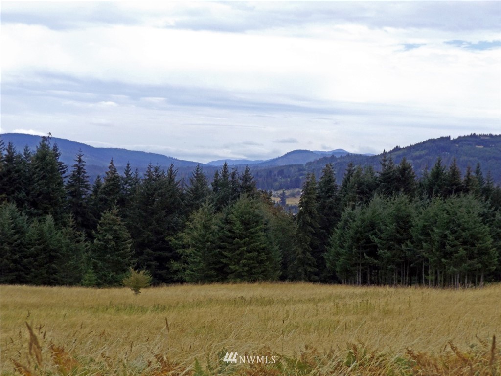 3893 Mt Pleasant Road Port Angeles, WA 98362 - Photo 9 of 25