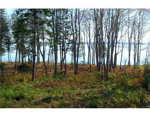 0 Lawrence Road Lincolnville, ME 04849 - Photo 3 of 11 Land. view from center of the property