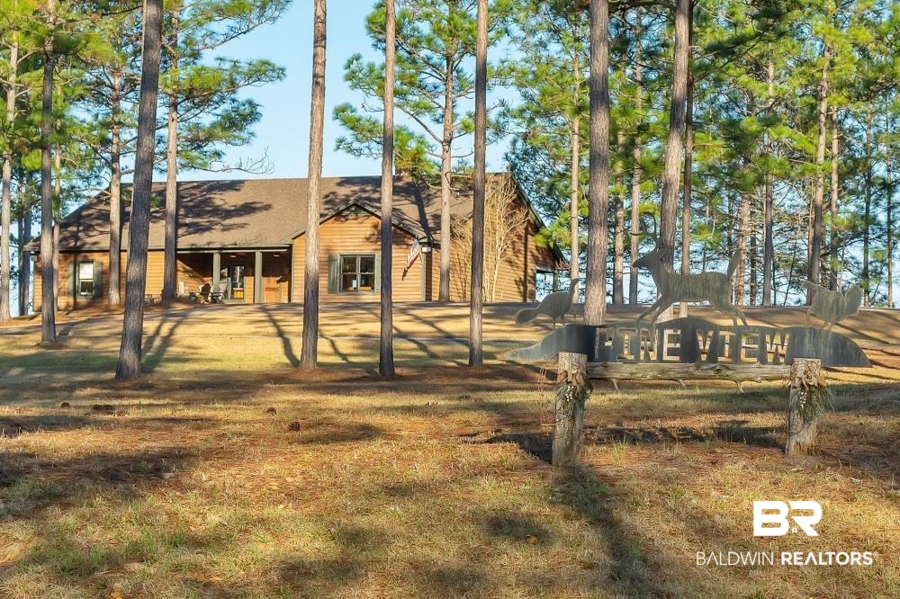 0 Private Road Millry, AL 36558 - Photo 2 of 50