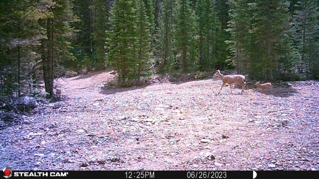 7 South Boulder Road Cardwell, MT 59721 - Photo 26 of 39 Gallery Image 26