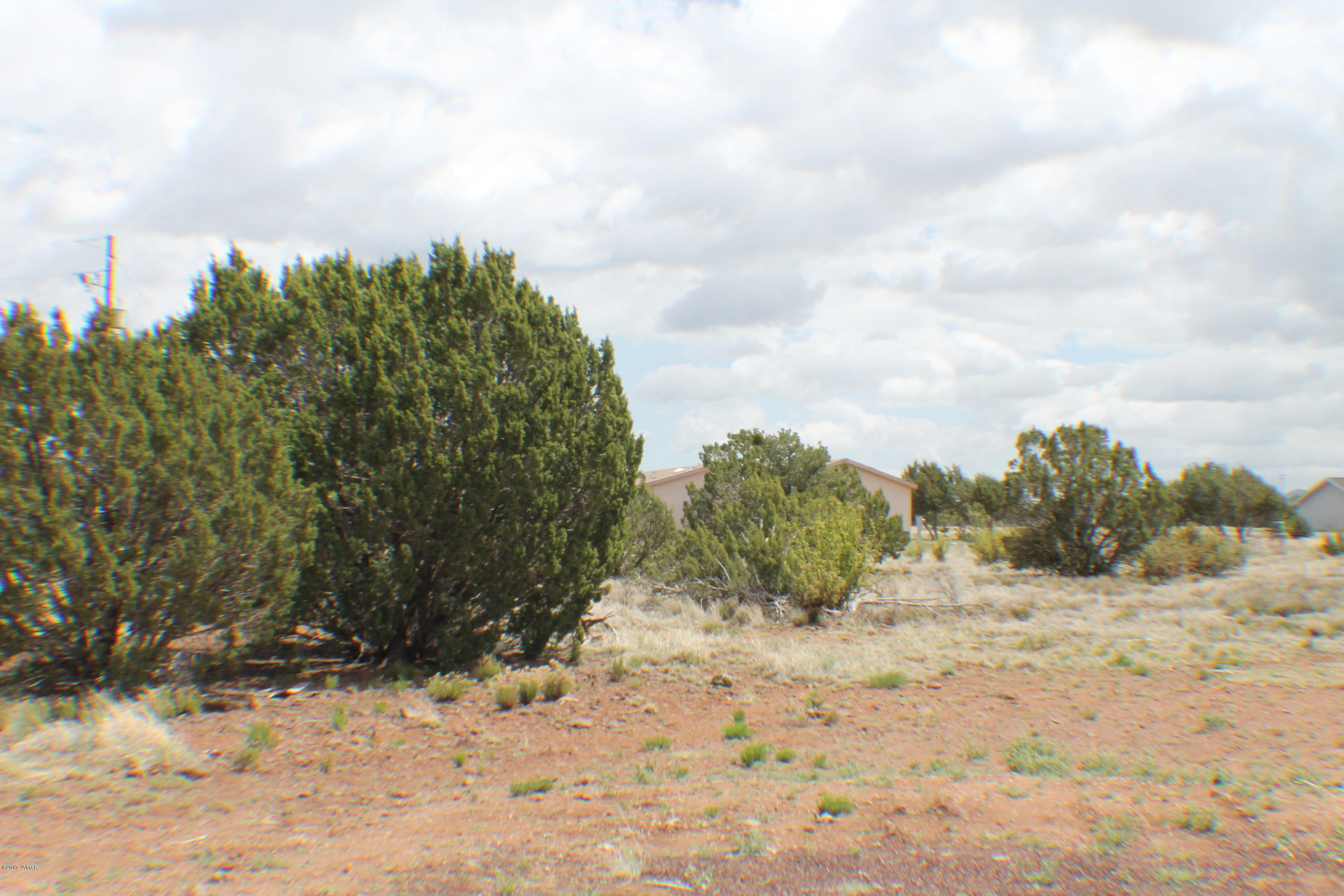 Parcel B Bourdon Ranch Road Show Low, AZ 85901 - Photo 1 of 8