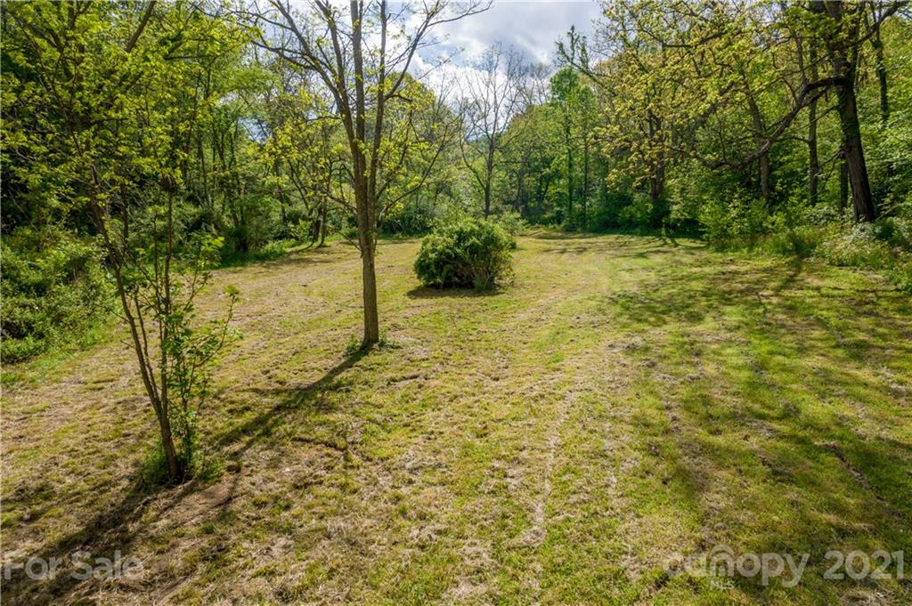 301 Fowler Lane Clyde, NC 28721 - Photo 43 of 47 a view of a yard with an trees