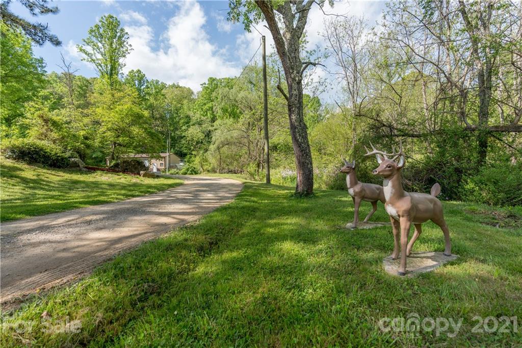 301 Fowler Lane Clyde, NC 28721 - Photo 46 of 47 a backyard of a house with table and chairs