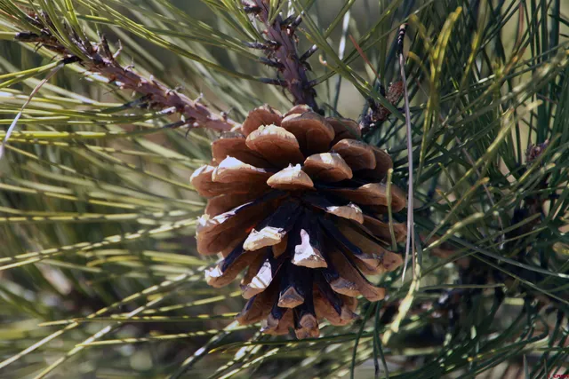 a view of a lake view