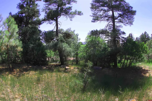 a view of a backyard of the house
