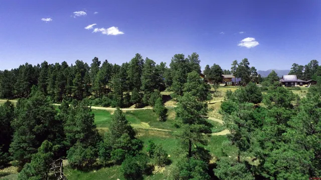 a view of a green field