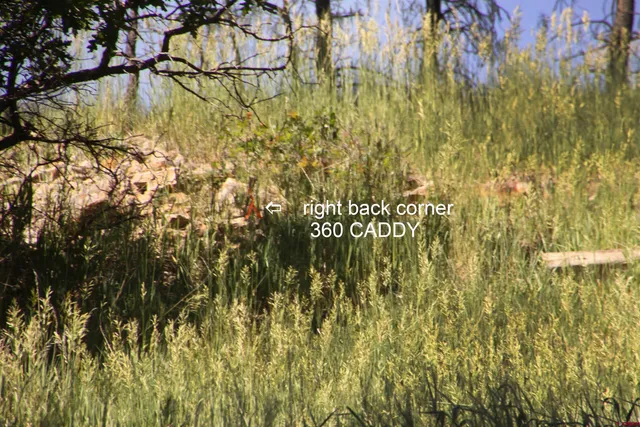 $55,000 | 360 Caddy Circle, Pagosa Springs, CO 81147