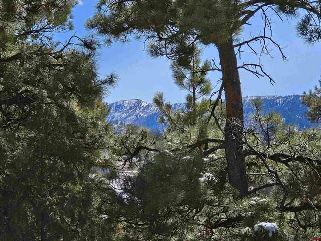 an aerial view of residential house with outdoor space and trees all around