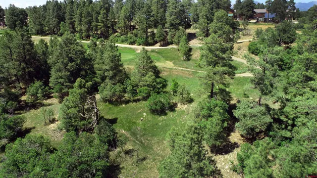an aerial view of a forest with houses