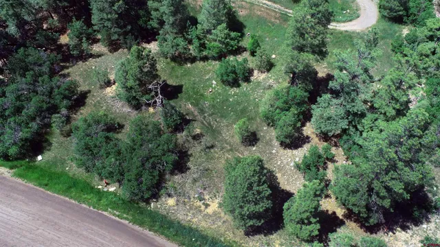 an aerial view of a forest with houses