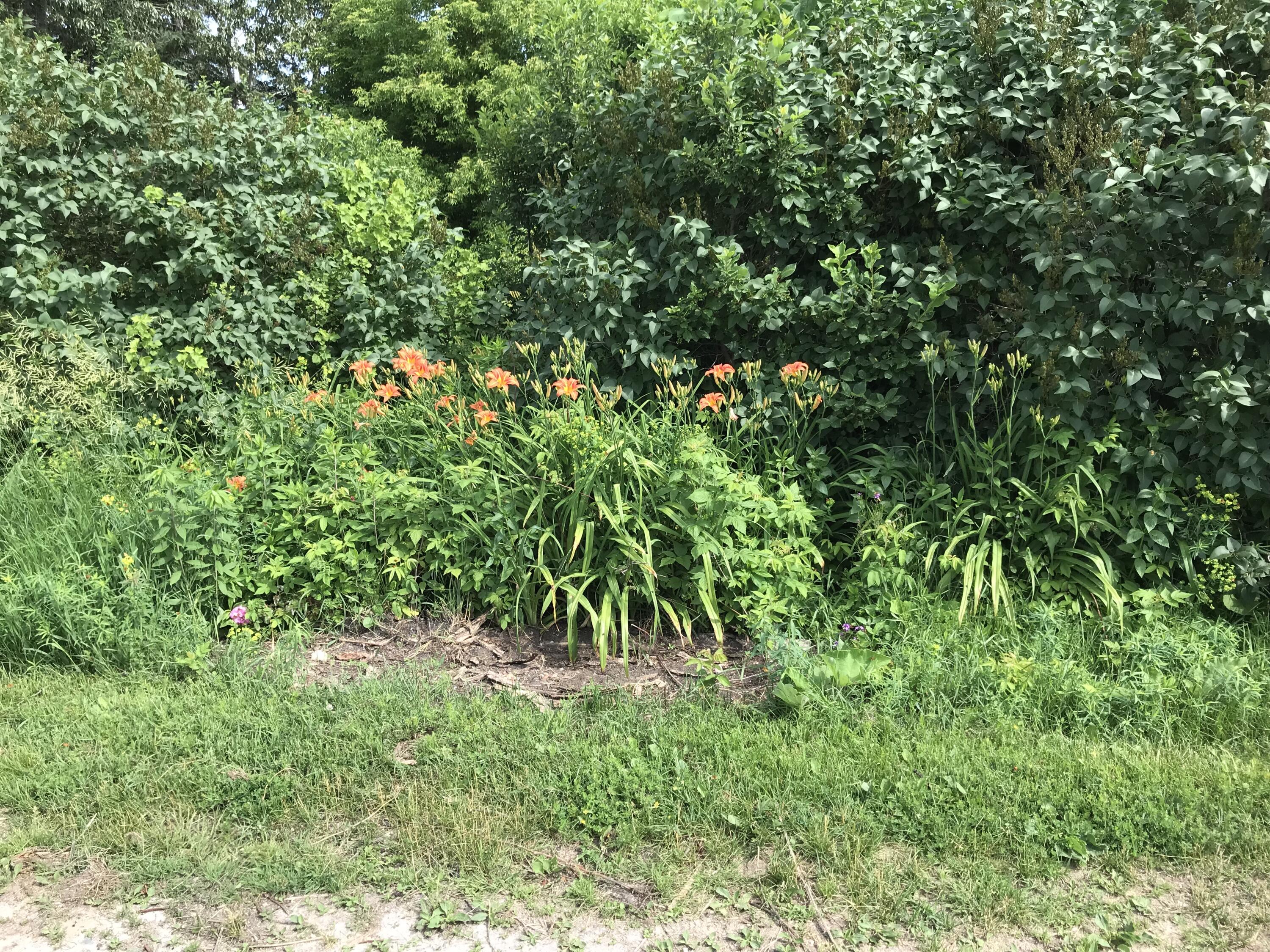 23057 South Clegg Road Pickford, MI 49774 - Photo 31 of 31 outside