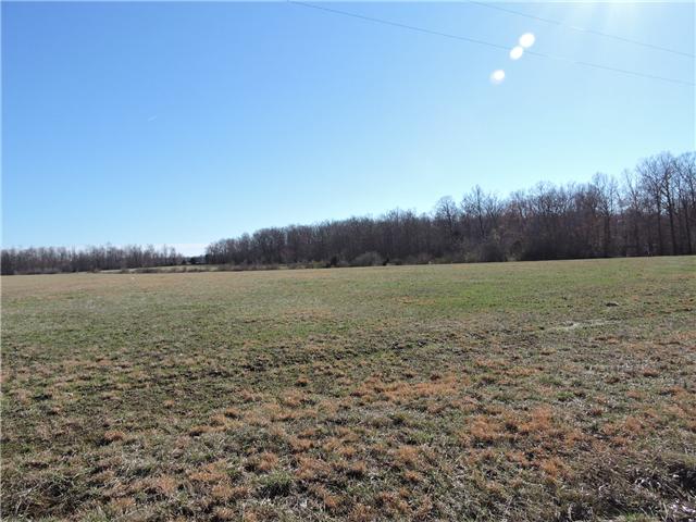 12 Boynton Valley Road Manchester, TN 37355 - Photo 1 of 3 lots