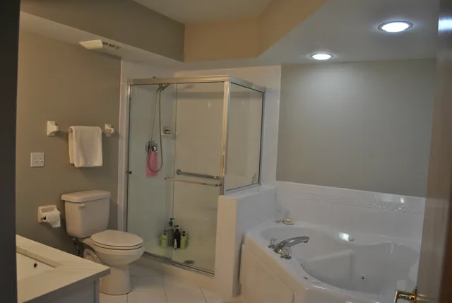 a bathroom with a toilet and a bathtub