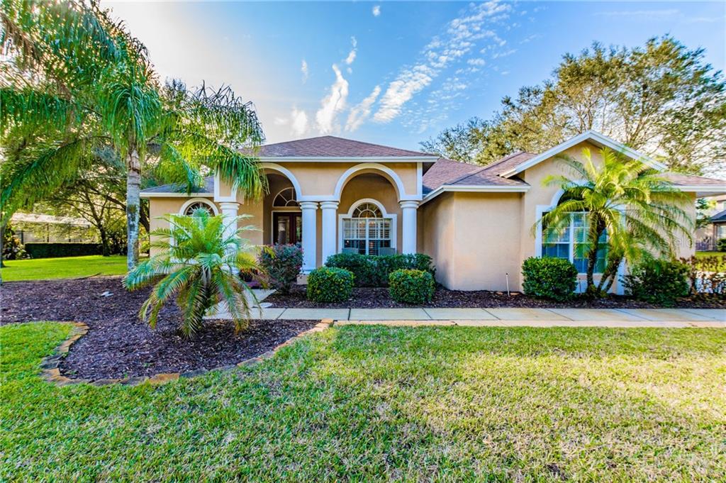 17709 Simms Road Odessa, FL 33556 - Photo 1 of 1 Exterior