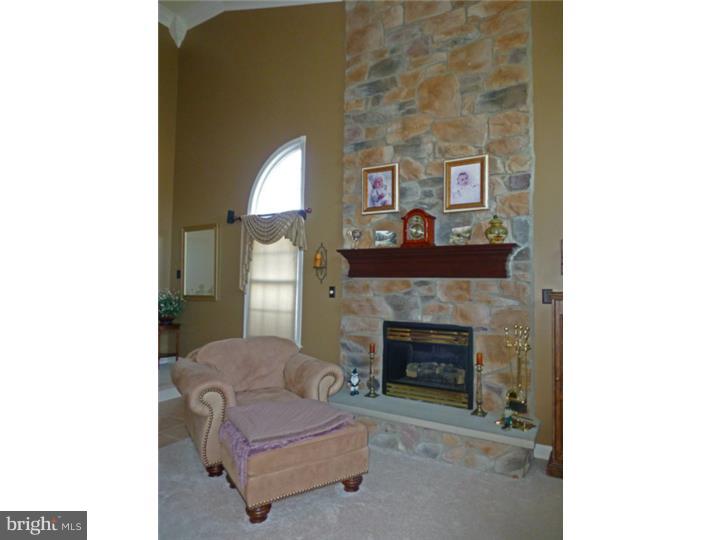 33 Fairwood Avenue Sinking Spring, PA 19608 - Photo 15 of 25 Fireplace