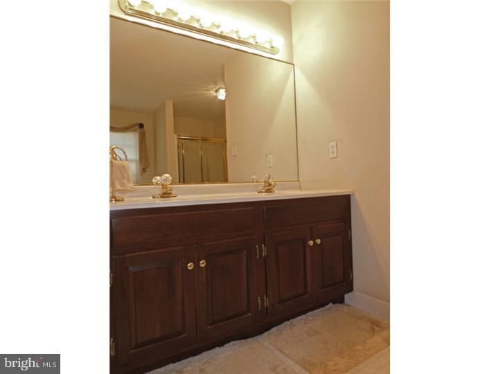 33 Fairwood Avenue Sinking Spring, PA 19608 - Photo 24 of 25 Master Bathroom
